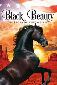 American Black Beauty - Poster