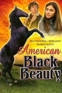 American Black Beauty - Poster