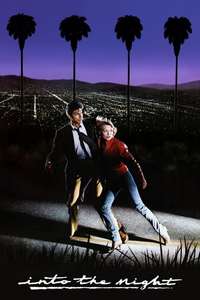 Into the Night - Poster