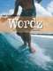 Wordz: A Longboarding Lexicon