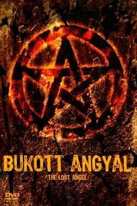 The Lost Angel - Poster