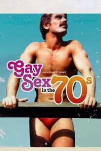 Gay Sex in the 70s - Poster