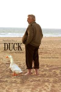 Duck - Poster