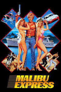 Malibu Express - Poster