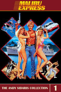 Malibu Express - Poster