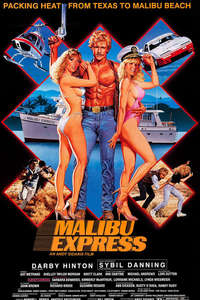 Malibu Express - Poster