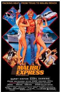 Malibu Express - Poster
