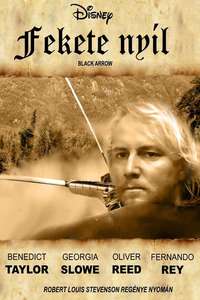 Black Arrow - Poster