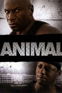 Animal - Poster