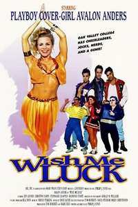 Wish Me Luck - Poster