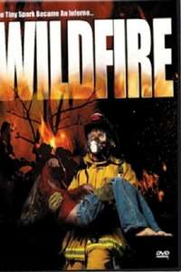 Wild Fire - Poster