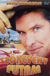 Fugitives Run - Poster