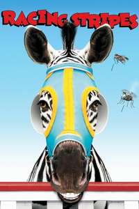 Racing Stripes - Poster