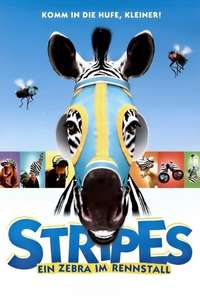 Racing Stripes - Poster