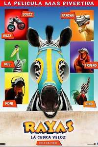 Racing Stripes - Poster