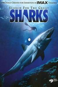 Search for the Great Sharks - Poster