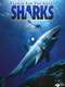 Search for the Great Sharks