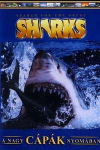 Search for the Great Sharks - Poster