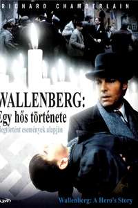 Wallenberg: A Hero's Story - Poster