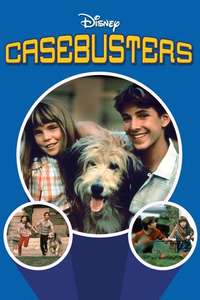 Casebusters - Poster