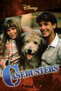 Casebusters - Poster