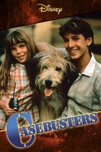 Casebusters - Poster