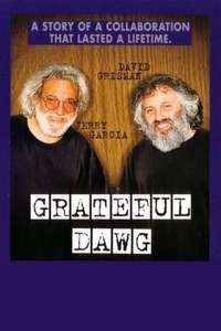 Grateful Dawg - Poster