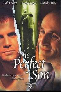 A Perfect Son - Poster