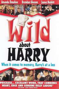 Wild About Harry - Poster