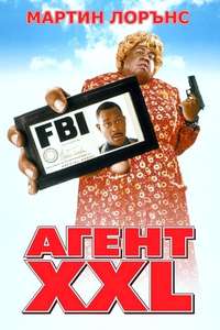 Big Momma's House - Poster