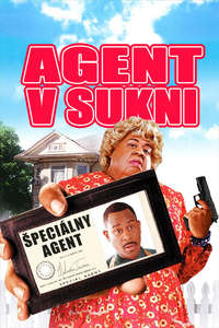 Big Momma's House - Poster