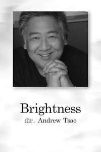 Brightness - Poster