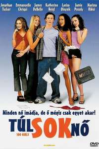 100 Girls - Poster