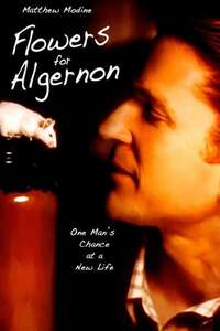 Flowers for Algernon - Poster