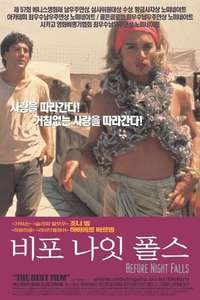 Before Night Falls - Poster