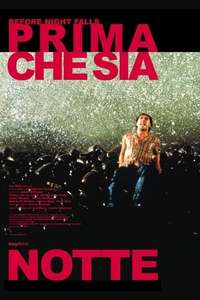 Before Night Falls - Poster