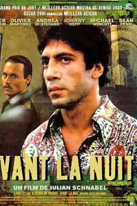 Before Night Falls - Poster