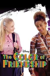 The Color of Friendship - Poster