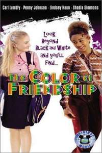 The Color of Friendship - Poster