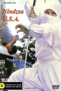 Ninja USA - Poster