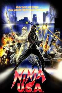 Ninja USA - Poster