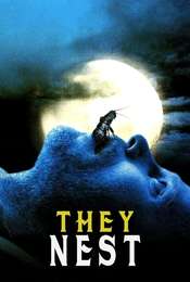 They Nest