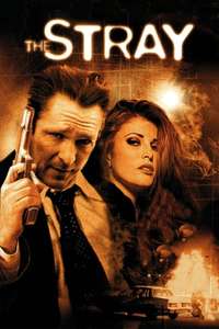 The Stray - Poster