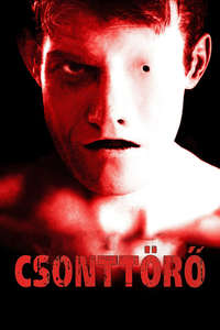 Bruiser - Poster