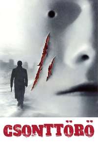 Bruiser - Poster