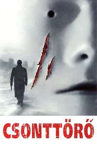 Bruiser - Poster