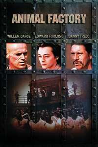 Animal Factory - Poster