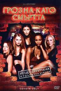 Coyote Ugly - Poster
