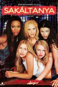 Coyote Ugly - Poster