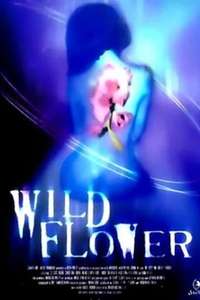 Wildflower - Poster